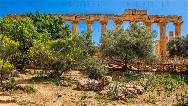 Temple of Juno