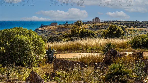 View of Acropolis