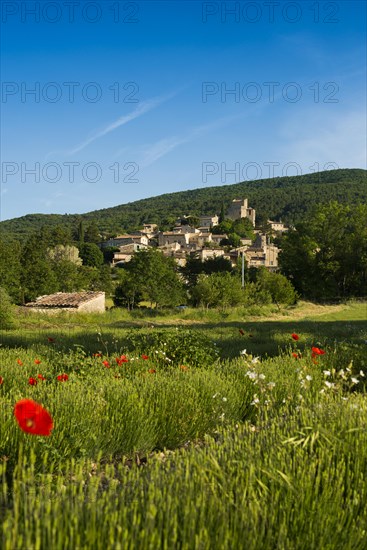 Medieval village and lavender field