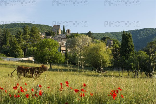 Medieval village