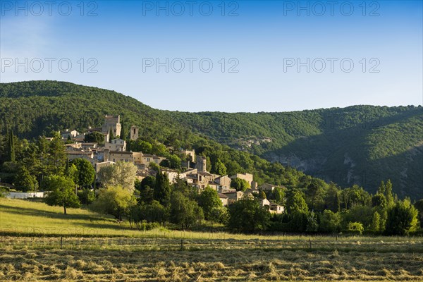 Medieval village