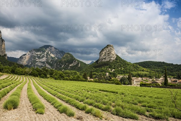 Medieval village with lavender field and rocks