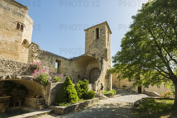 Medieval village