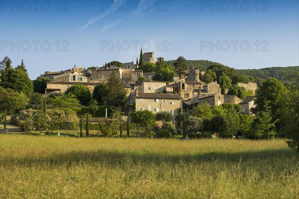 Medieval village