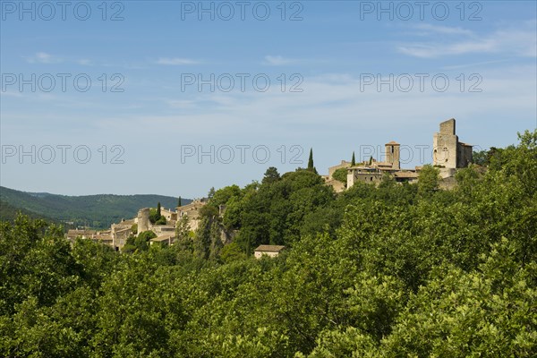 Medieval village