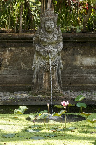 Fountain and Lotus pont