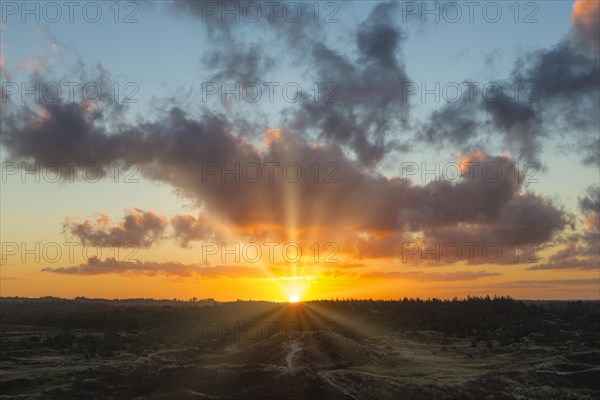 Sunrise over dunes and heath landscape