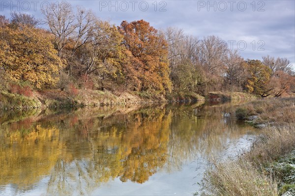 Late autumn on the Mulde River near Dessau