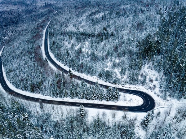 Aerial view of an S-curve in the forest with snow