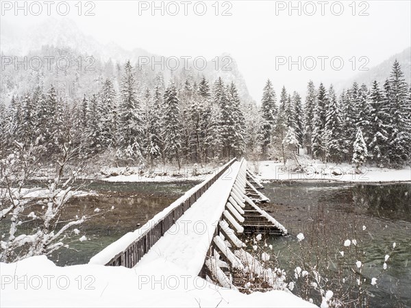 Winter landscape