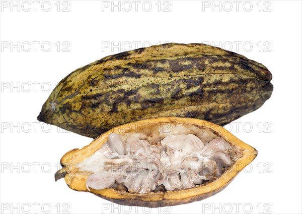 A whole and a halved cocoa fruit