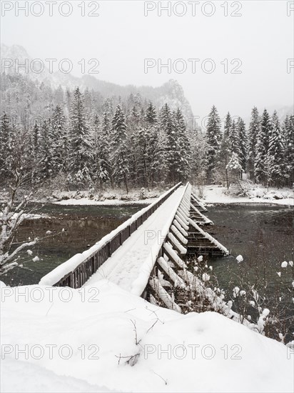 Winter landscape