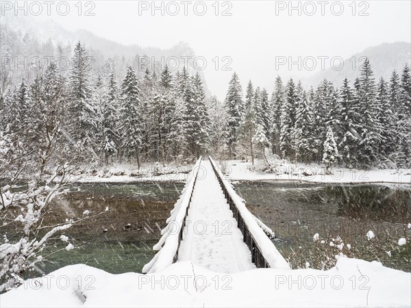 Winter landscape