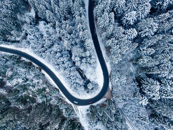Aerial view of a road bend through the forest in the snow