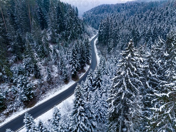 Road through the forest in the snow