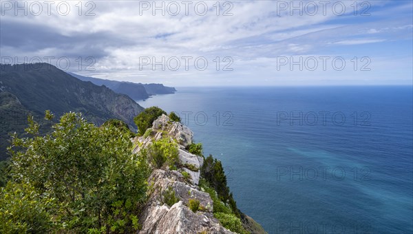 View of cliffs and mountains overgrown with forest