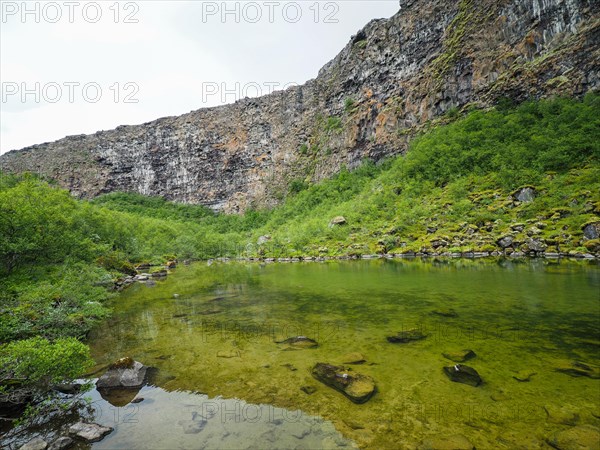 Asbyrgi Canyon