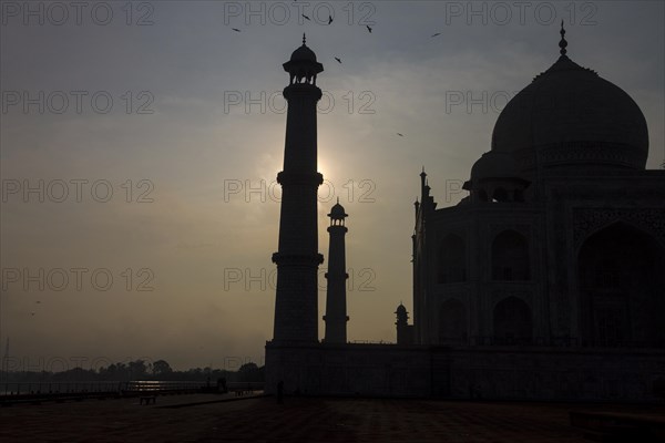 Taj Mahal at early morning with its minaret backlit by the rising sun and birds flying near to the towers top