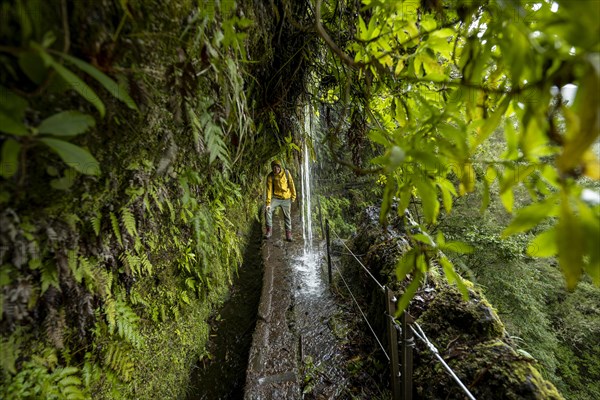 Hikers on a narrow path along a levada with a waterfall