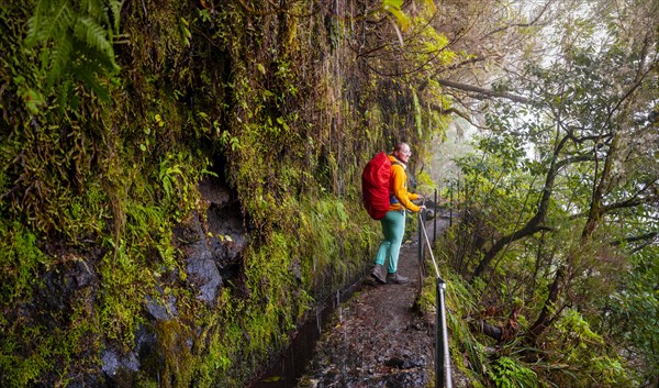 Hiker on a Levada