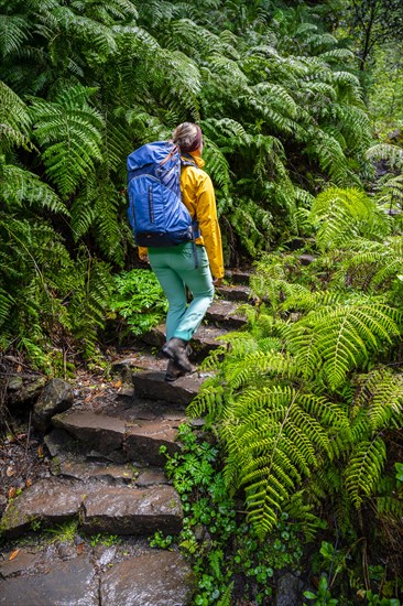 Hiker on a Levada