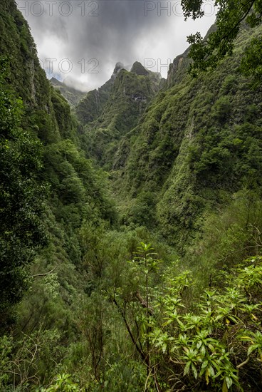 View of steep forested cloud-covered mountains