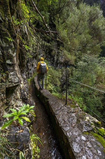 Hikers on a narrow path along a levada