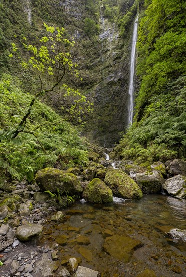 Waterfall on a steep rock face in the Caldeirao Verde