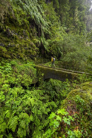 Hikers on a bridge over a small gorge