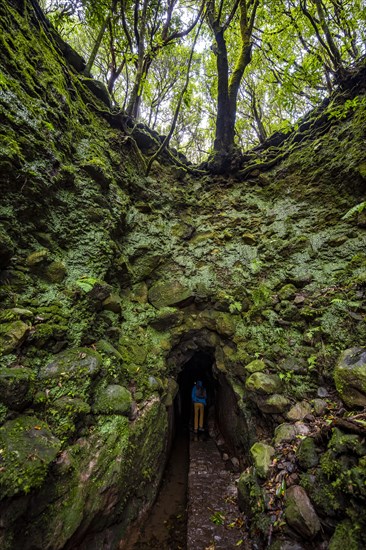 Hiker on a hiking trail