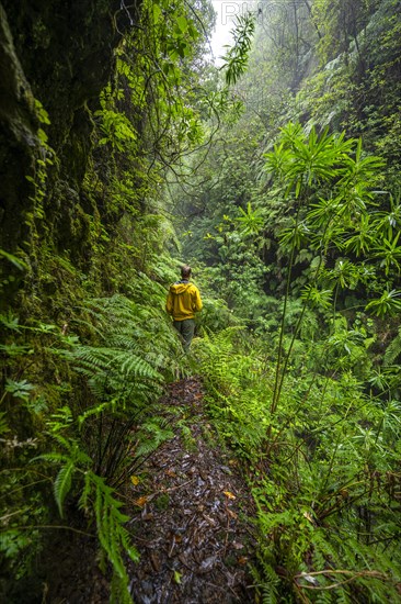 Hikers on a narrow footpath