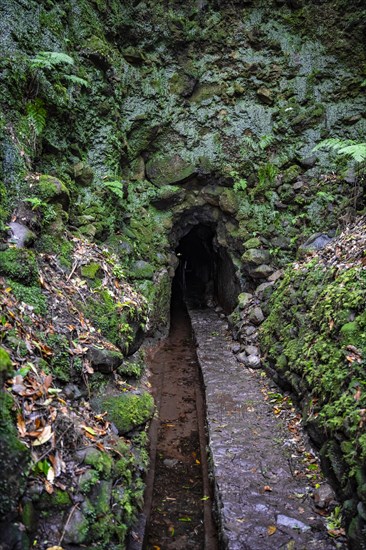 Levada Tunnel