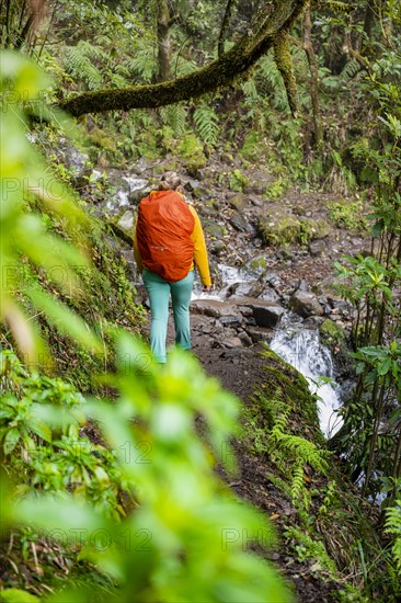 Hiker on a Levada