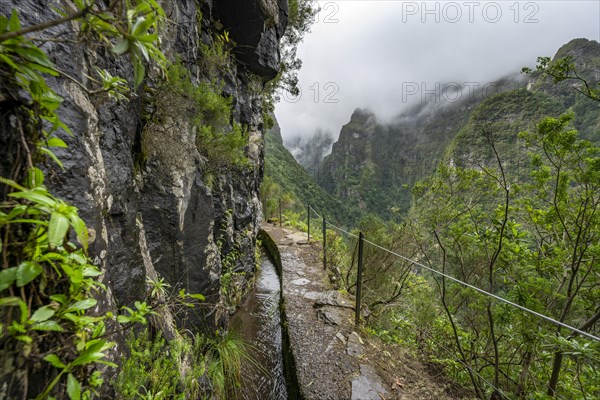 Narrow hiking trail along a levada