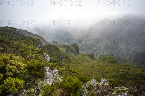 Fog in the mountains