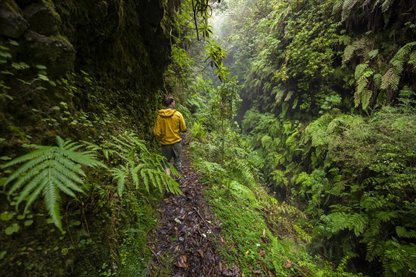 Hikers on a narrow footpath