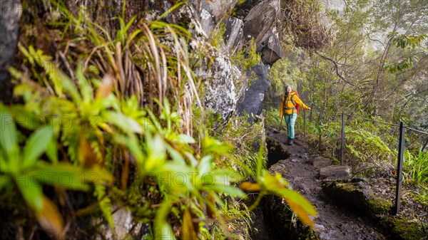 Hiker on a Levada