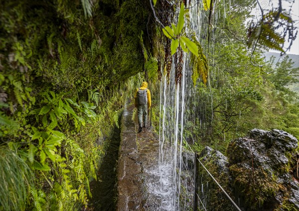 Hikers on a narrow path along a levada with a waterfall