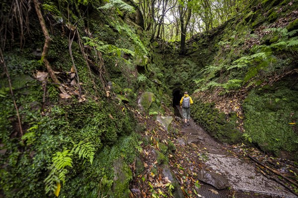 Hiker on a hiking trail