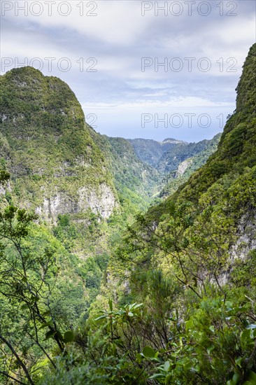 Inland landscape