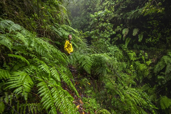 Hikers on a narrow footpath among ferns