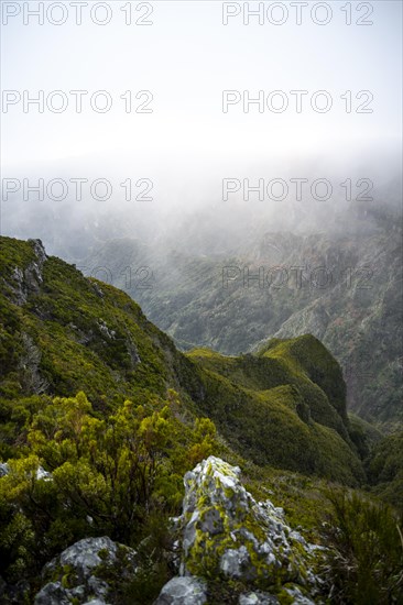 Fog in the mountains