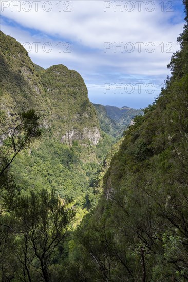 View of steep forested mountains