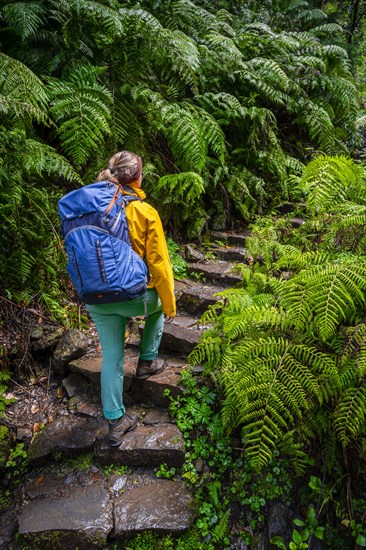 Hiker on a Levada