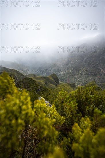 Fog in the mountains