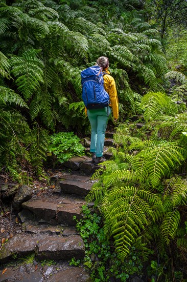 Hiker on a Levada