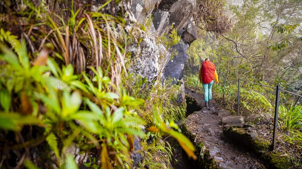 Hiker on a Levada