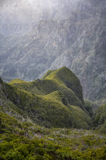 Fog in the mountains