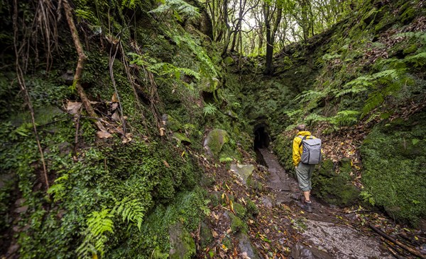 Hiker on a hiking trail