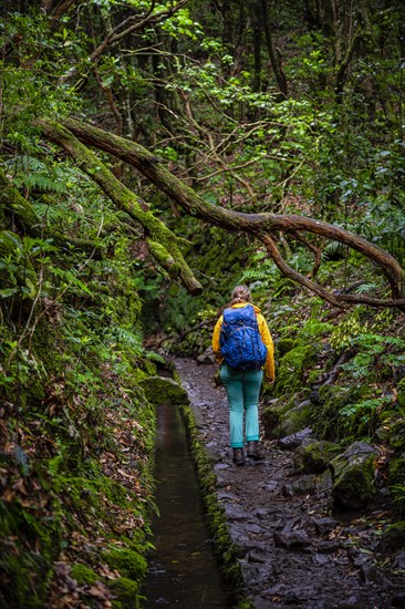 Hiker on a Levada